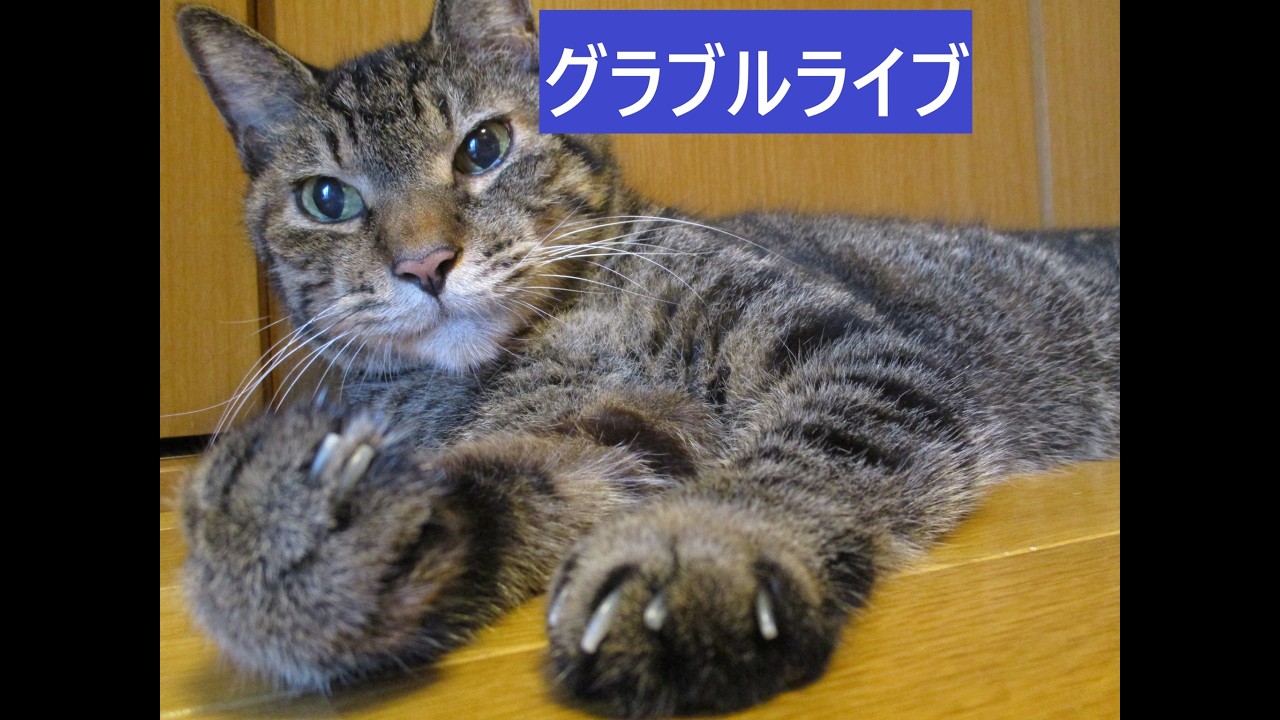 ＃グラブル　クエストリクエスト受け付けながらライブ　おすそ分け天元２戦、ルシゼロ２戦　ライブ：１３７７　０７月１０日　金曜日