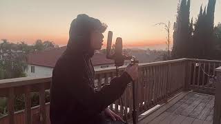 Victor Roberts - brockhampton // jacob causes mayhem covers