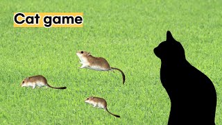 고양이가 좋아하는 소리 | 쥐 사냥 놀이 | game for cats | 고양이가 좋아하는 영상 screenshot 2