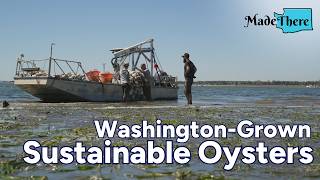 Farm-To-Table Oysters 🦪 | Made There