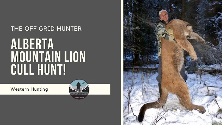 Alberta Mountain Lion / Cougar Cull Hunt Kill Shot! COUGAR | SUPER SLAM