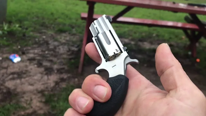 North American arms 22 mag pug