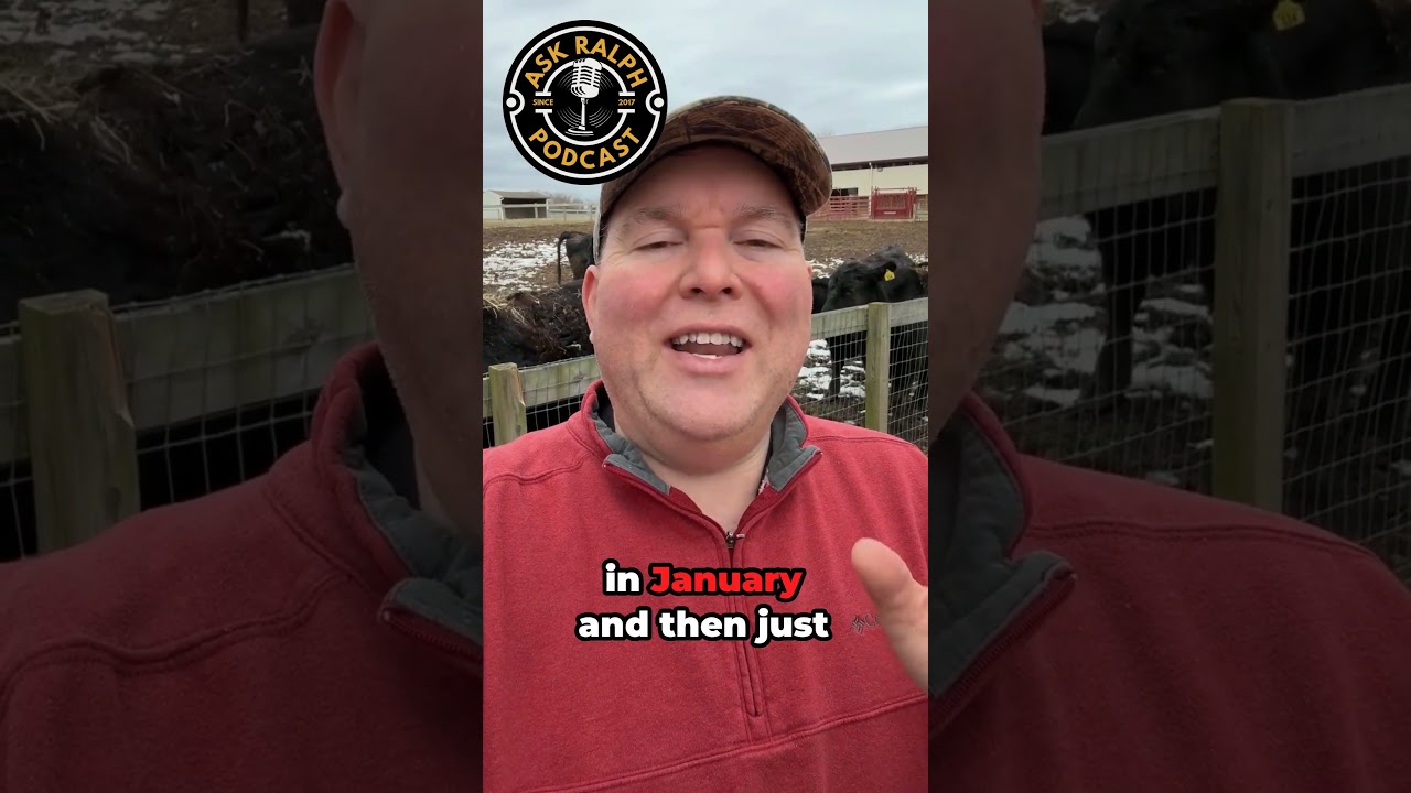 Beat Tax Season Stress Start Early! #taxseason  #taxtips #earlybirdgetstheworm  #stressfree