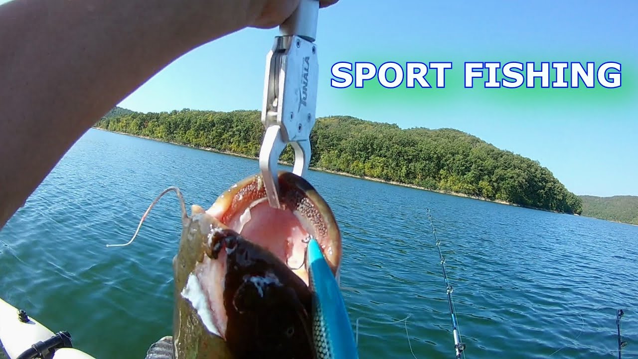 Спортен риболов на сом 2025   Sport Catfishing