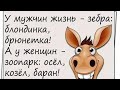 С добрым утром! Самые прикольные открытки с добрым утром!