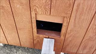 DIY Automatic Chicken Coop Door (Simple to Build) Profile