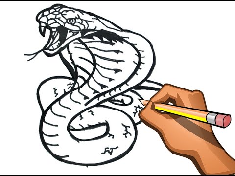 COMO DIBUJAR COBRA NEGRA / DIBUJO FACIL DE SERPIENTE COBRA AGRESIVA -  thptnganamst.edu.vn