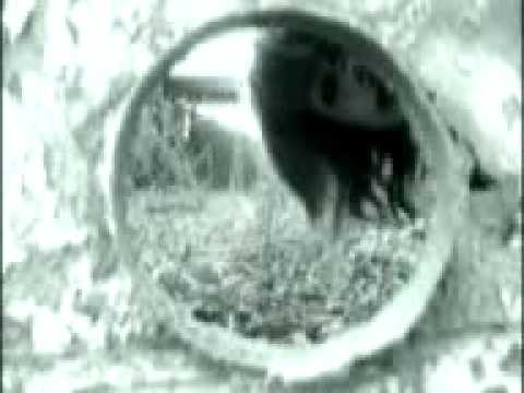 Ver video de La risa de dios