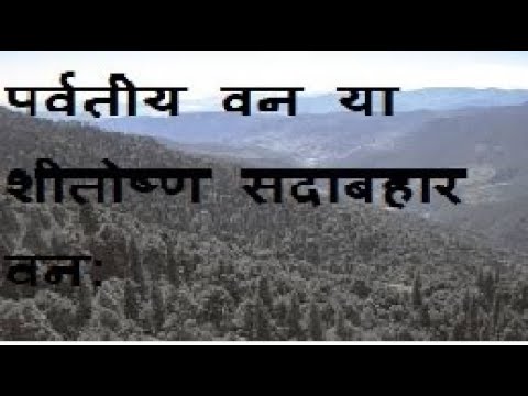 वीडियो: क्या समशीतोष्ण जंगल में सांप हैं?