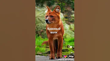 Красная книга России