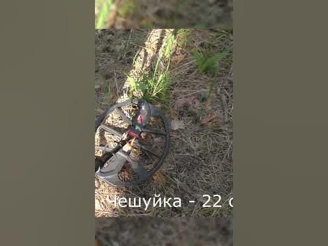 Тест на полигоне - Эквинокс 900 серебро #наследиепредков #metaldetector ...