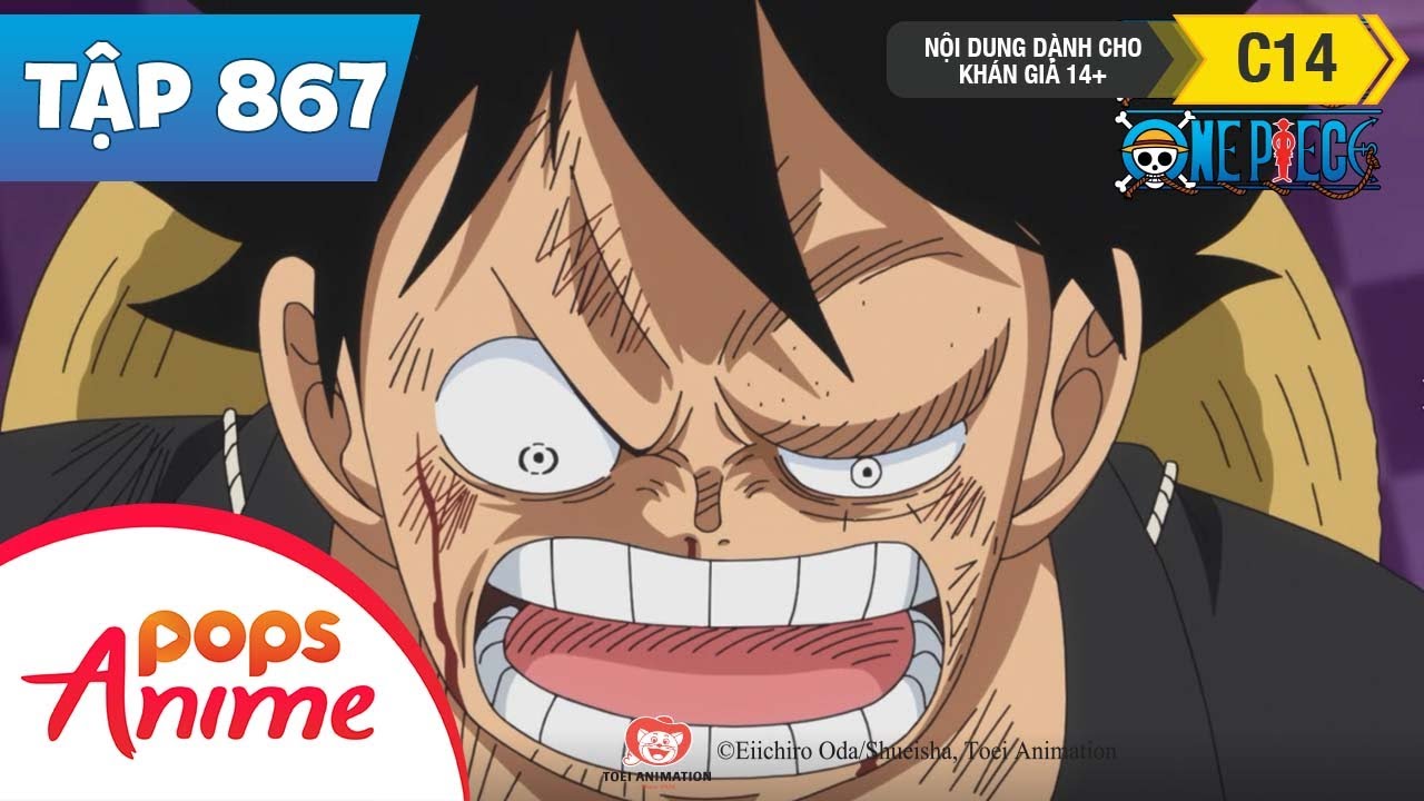 One Piece Tập 867 - Ẩn Trong Bóng Tối Sát Thủ Nhắm Vào Luffy - Đảo Hải Tặc Tiếng Việt