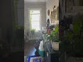 2435 W Rosemont Unit 2