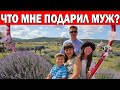 😱🥰Муж турок подарил ЛАВАНДОВЫЕ ПОЛЯ! МОРЕ ЦВЕТОВ в Турции/ Стоит ехать? Турецкий прованс Ыспарта