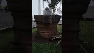 Download Lagu Lingga Yoni Terbesar MP3