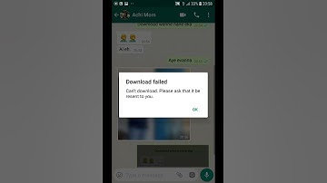 Whatsupp error-Cant download.Please ask that it be resent to u.