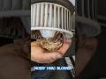 Noisy Automotive HVAC Blower Motor Florida Car Automobile Hvac Cleaning Shorts Diy Gbg 