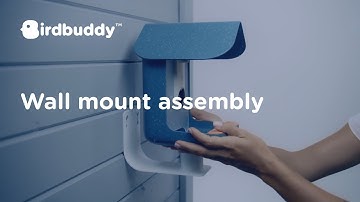 How-To: Wall Mount – Bird Buddy Tutorial