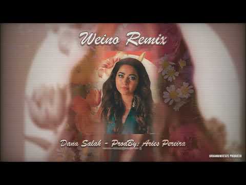 Weino Remix - Dana Salah - Prod.By: Aries Pereira (Beatstars Contest)