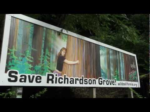 Save Richardson Grove