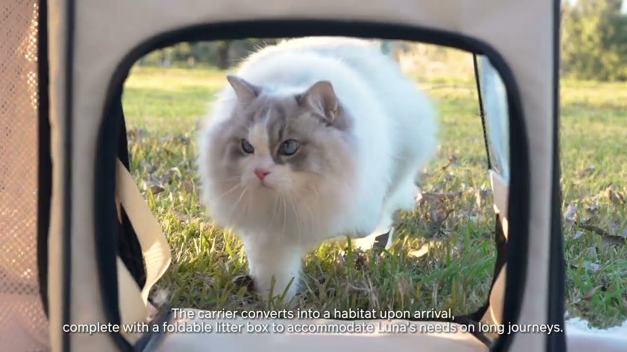Pidan】折りたたみ式ハウス型トラベルリュック（猫用） Pets-first