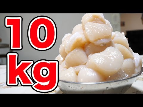 【天国】10kgのホタテを一晩で食べ尽くす!!