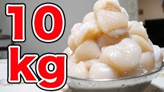 【天国】10kgのホタテを一晩で食べ尽くす！！