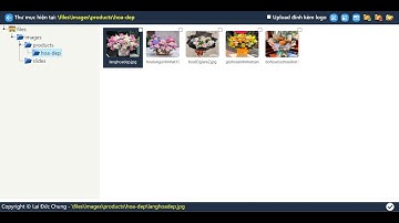 Xây dựng trình quản lý ảnh gắn với CKEditor sử dụng ASP.NET Core và JQuery