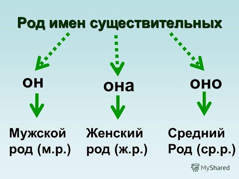 تصویری: جنسیت مذکر لیسانس چیست؟