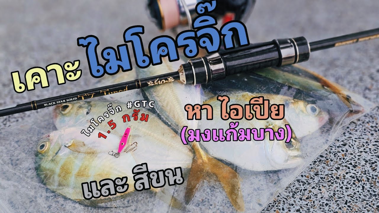 เคาะไมโครจิ๊ก หากะมงแก้มบาง หาสีขน / LightGame ณ แหลมแท่น บางแสน 