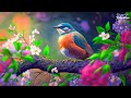 Forest Birdsong Nature Sounds - Relaxing Bird Sounds for Sleeping - Calming Birds Chirping Ambience