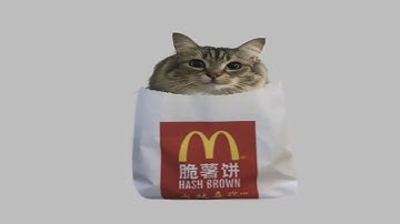 10m05s Trinetra speedrun