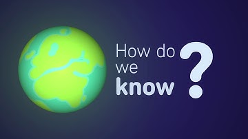 Project 3: Motion Infographic