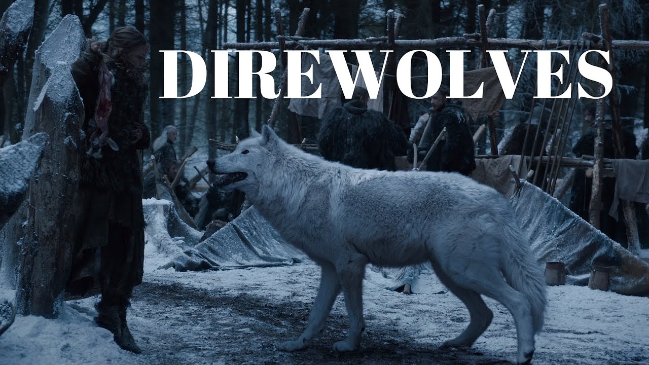 Game of Thrones - ALL STARK DIREWOLF SCENES - YouTube.