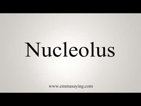 How To Say Nucleolus