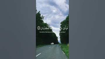 اسلام صبحي | سورة الرحمن | والأرض وضعها للأنام| #foryou islam subkhi