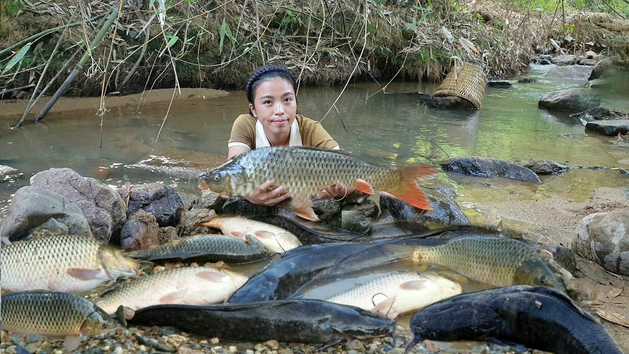 How to catch giant fish in natural streams - gardening to grow more ...