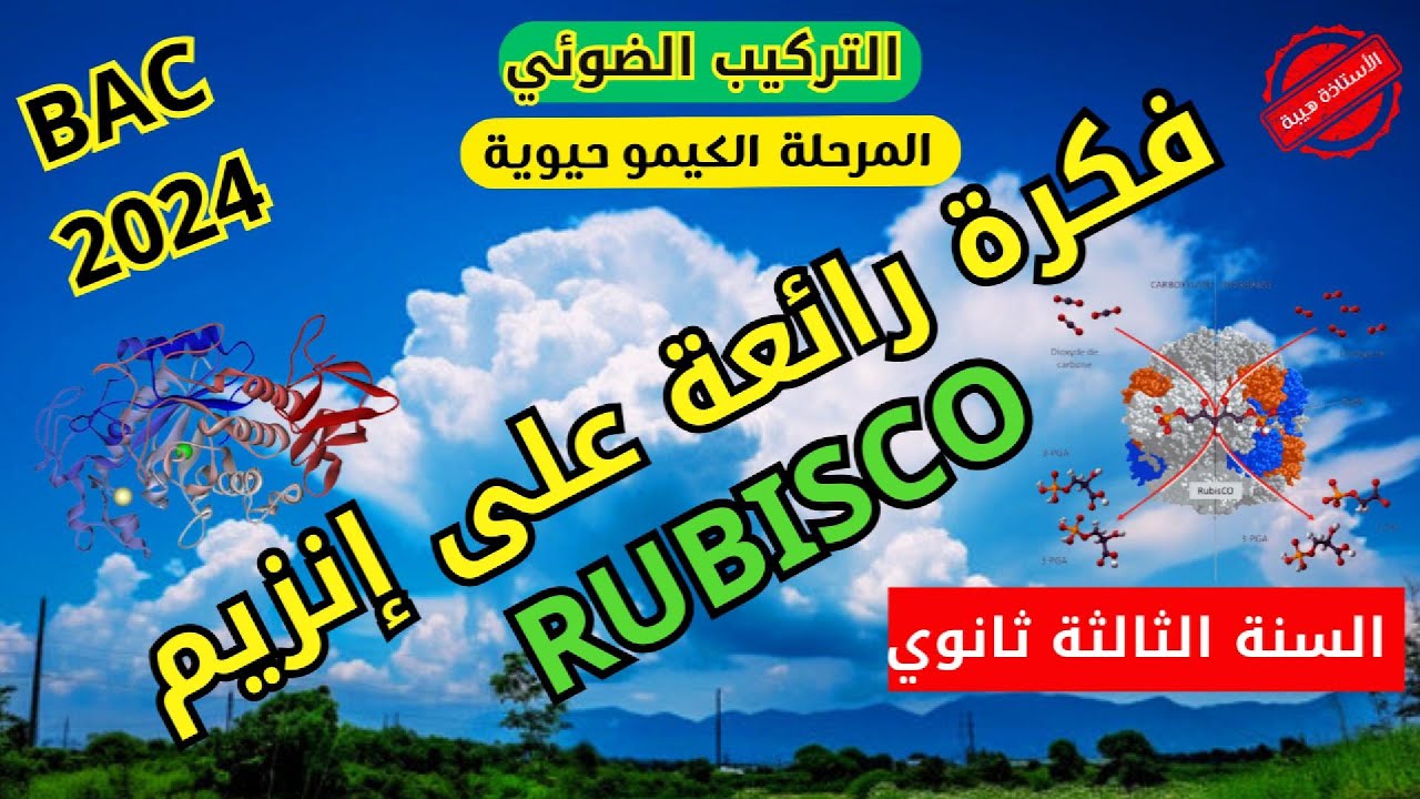 فكرة_رائعة👌على إنزيم روبيسكو #RUBISCO  في عملية_التركيب_الضوئي السنة الثالثة ثانوي mutation#