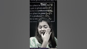 ഇനി കണ്ണീരൊന്നും വേണ്ട 🥺🥹