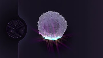 VisionSort: label-free and AI assisted cell sorting