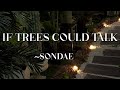 Sondae - If Trees Could Talk Sped Up