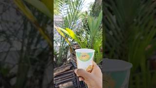 Survival Skills:😱SMART ideas and Usefulin forest#survival#useful#ideas#funny#shorts#camping🧃🤪😁j7450