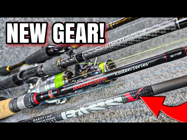 BEST $99 Rod Battle! (Shimano vs Daiwa) 