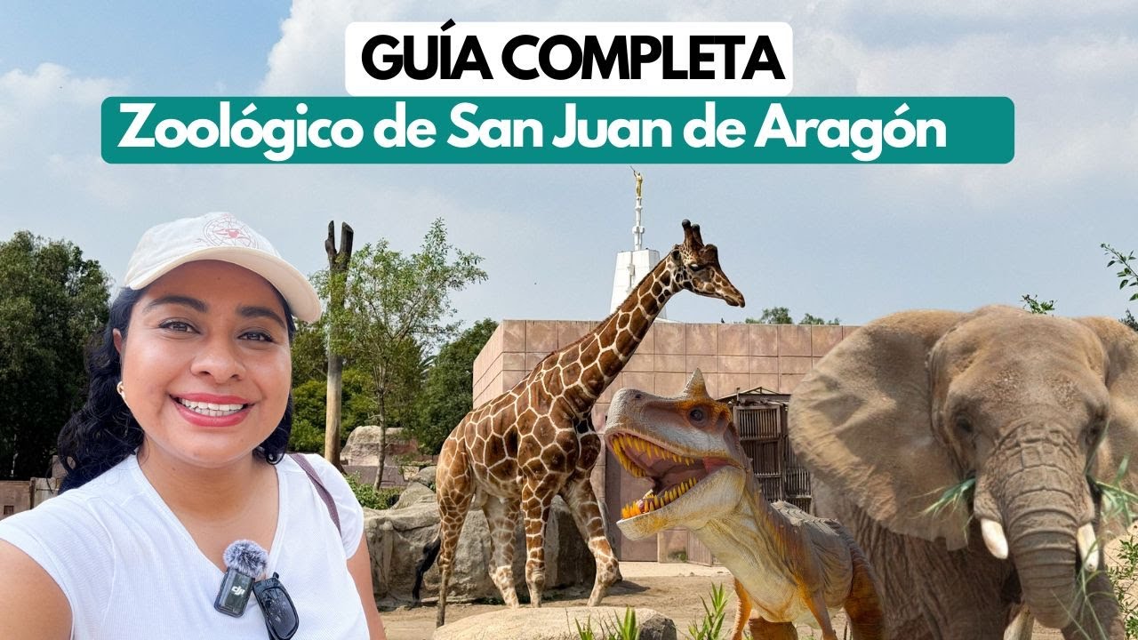 ZOOLÓGICO DE SAN JUAN DE ARAGÓN CDMX 2026:  Costo, animales y recorrido completo