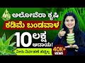 10 lakhs income with low investmentaloe vera cultivationaloe vera farming in kannada  