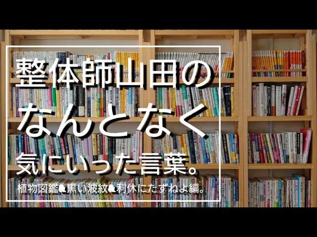 整体師山田のなんとなく気にいった言葉 植物図鑑 黒い波紋 利休にたずねよ編 Youtube