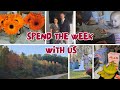 WITL WEEKLY VLOG MAKING PUMPKIN CHEESECAKE FINAL TEST RESULTS AND A WEDDING SPEND THE WEEK WITH US