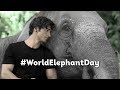 Worldelephantday  vidyut jammwal  junglee in cinemas 5th april 2019