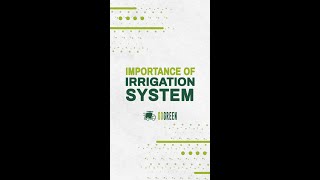 Why the irrigation system is important
