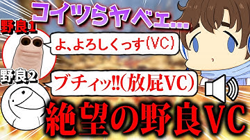 【APEX】インフルエンザの時に見る悪夢（野良VC）